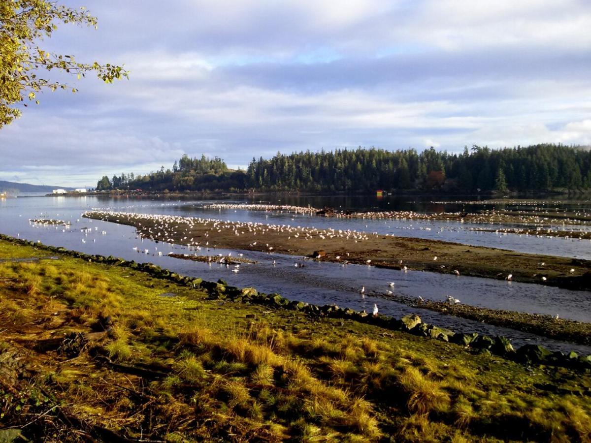 Pioneer Inn By The River Port Hardy Esterno foto
