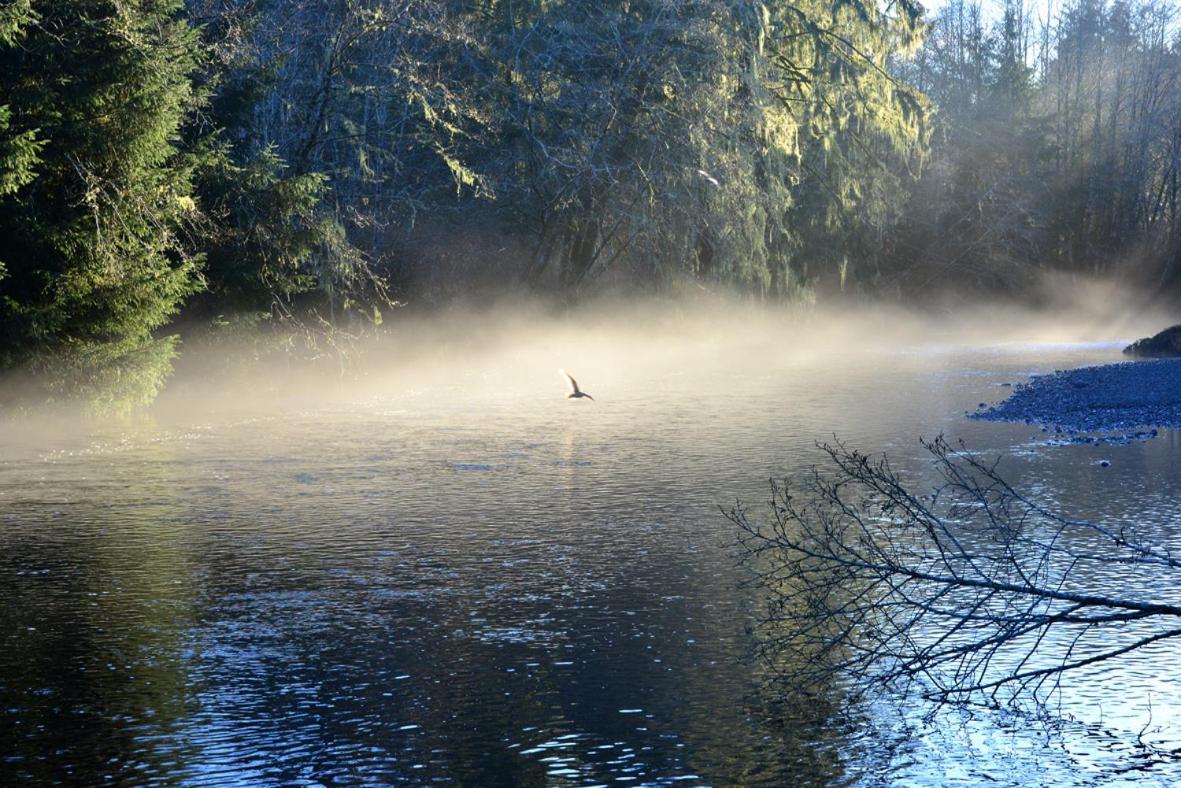 Pioneer Inn By The River Port Hardy Esterno foto